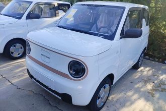吉利银河 2024款 熊猫mini 200km 耐力熊