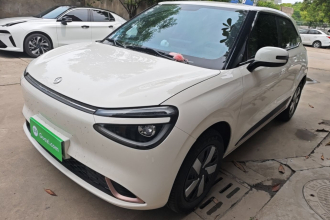 东风纳米 纳米01 2024款 焕新版 330 Air