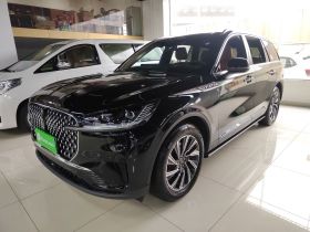 林肯 飞行家 2024款 3.0T V6 四驱高雅版 六座