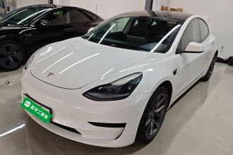 特斯拉 Model 3 2021款 改款 标准续航后驱升级版 3D1