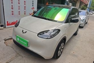 五菱汽车 五菱缤果 2024款 333km 悦享款
