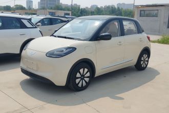 五菱汽车 五菱缤果 2025款 333km 悦享款
