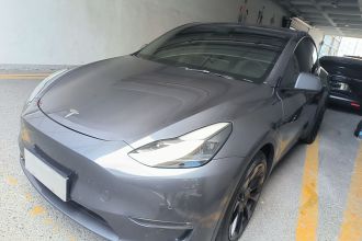 特斯拉 Model Y 2021款 长续航全轮驱动版 3D7