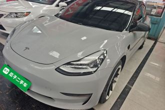 特斯拉 Model 3(进口) 2019款 长续航后驱版