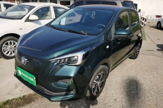 长安 奔奔E-Star 2022款 清心版 多彩款 三元锂