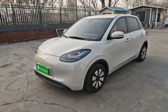 五菱汽车 五菱缤果 2023款 203km 舒享款