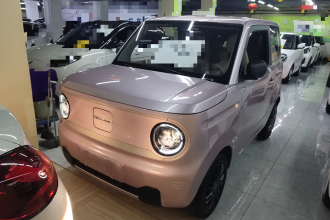 吉利银河 2023款 熊猫mini 200km 耐力熊