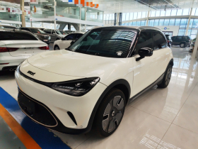 smart精灵#1 2024款 铂金版