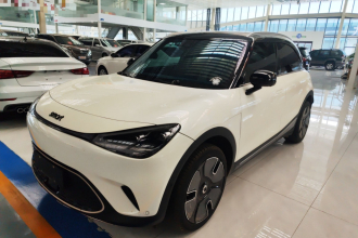 smart精灵#1 2024款 铂金版