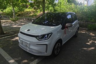 思皓 2022款 花仙子款 蒲公英