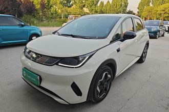比亚迪 海豚 2025款 智驾版 420km 自由版