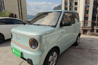 吉利银河 2024款 熊猫mini 200km 耐力熊