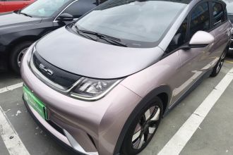 比亚迪 海豚 2021款 401km 骑士版