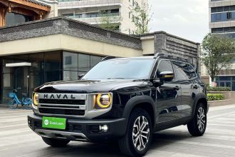 哈弗大狗 2024款 1.5T DCT边牧版