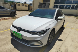 大众 高尔夫 2021款 280TSI DSG Pro