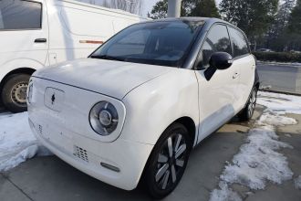 欧拉黑猫 2019款 351km 女神版