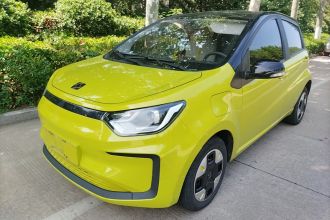思皓 2022款 花仙子款 四叶草