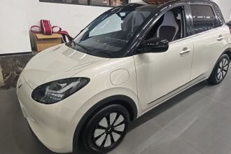 五菱汽车 五菱缤果 2024款 333km 悦享款
