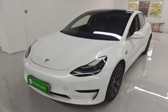 特斯拉 Model 3 2019款 标准续航后驱升级版