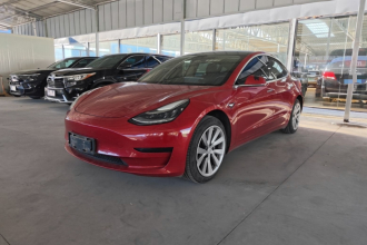 特斯拉 Model 3 2020款 标准续航后驱升级版