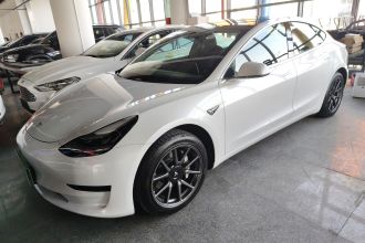 特斯拉 Model 3(进口) 2019款 标准续航后驱升级版(60度)