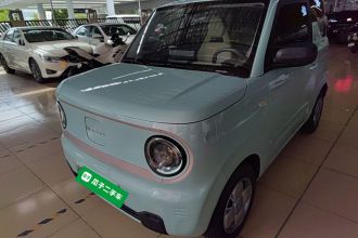 吉利银河 2023款 熊猫mini 200km 耐力熊