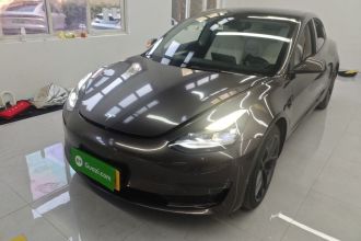 特斯拉 Model 3 2021款 Performance高性能全轮驱动版 3D6