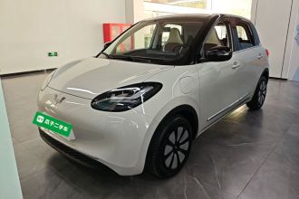 五菱汽车 五菱缤果 2024款 333km 悦享款