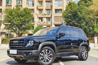 哈弗大狗 2022款 1.5T DCT两驱边牧版