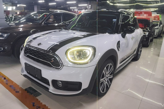 MINI Countryman 2019款 2.0T COOPER S ALL4 艺术家