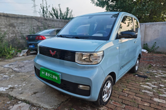 五菱汽车 宏光MINIEV 2020款 自在款 磷酸铁锂