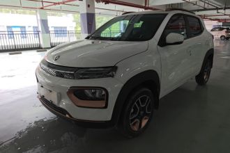 东风纳米EX1 2023款 PRO 轻风版闪电型