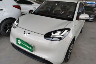 五菱汽车 五菱缤果 2024款 333km 悦享款