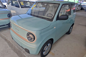吉利银河 2024款 熊猫mini 200km 耐力熊
