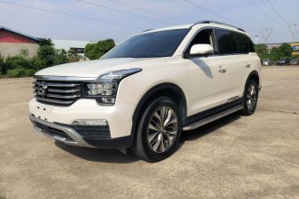 广汽传祺 传祺GS8 2017款 320T 两驱豪华智联版（七座）