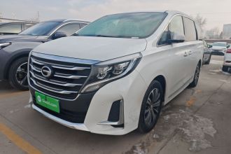 广汽传祺 传祺M8 2020款 领航款 390T 尊贵版