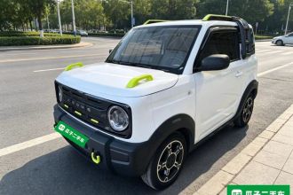吉利银河 2024款 200km 熊猫骑士