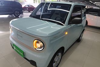 吉利银河 2023款 熊猫mini 200km 耐力熊