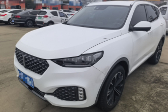 魏牌 VV6 2020款 2.0T 两驱智护+
