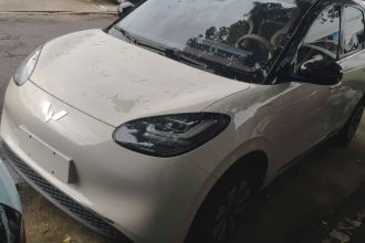 五菱汽车 五菱缤果 2023款 333km 悦享款