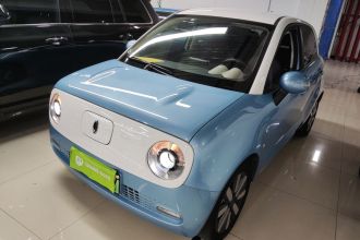 欧拉黑猫 2021款 351km 标准型