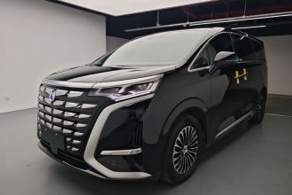 腾势D9 2022款 DM-i 1040 尊贵型