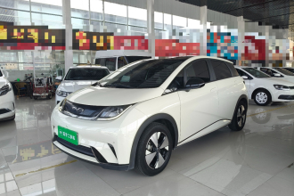 比亚迪 海豚 2023款 420km 时尚版