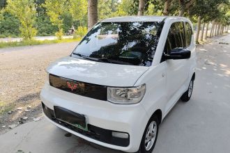 五菱汽车 宏光MINIEV 2020款 自在款 磷酸铁锂
