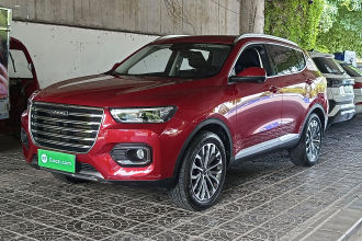 哈弗H6 2020款 1.5GDIT 自动铂金冠军版