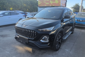 思皓X8 2021款 300T DCT领先智联版 6座