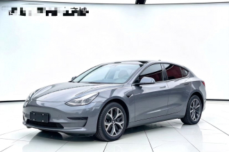 特斯拉 Model 3 2021款 标准续航后驱升级版 3D6