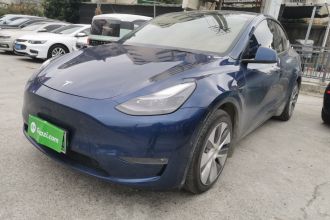 特斯拉 Model Y 2021款 长续航全轮驱动版