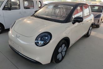 五菱汽车 缤果Pro 2026款 330km 尊享款