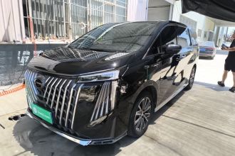 广汽传祺 传祺M8 2024款 大师系列 400T 尊贵版
